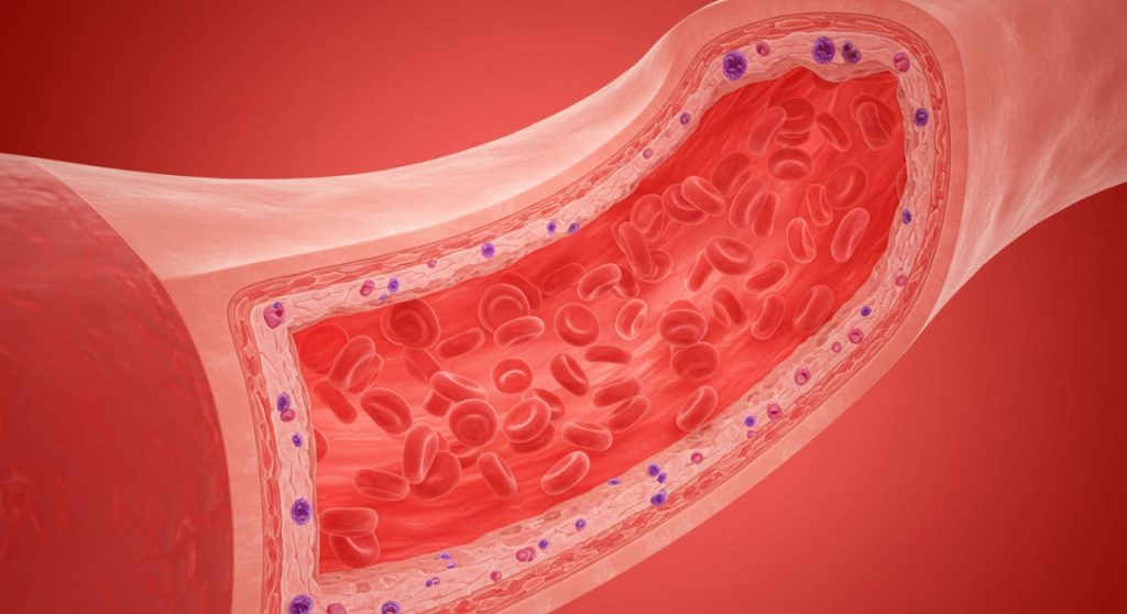 Why blood flow matters, the proper blood flow circulates the body system